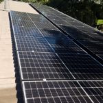 Quieres reducir tu recibo de electricidad con la jardineria. Jardinea Jardineros Madrid