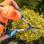 Tareas esenciales. Prepara tu jardín de primavera ahora, en otoño. La Poda. Prepara tu jardín de primavera ahora, en otoño. Podar