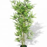Tendencias de jardineria para el año 2020 Plantas grandes Bambu