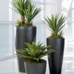 cultivar plantas en macetas y jardineras jardineria y paisajismo madrid Jardinea macetas d ediseño circular