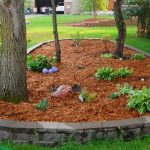 ¿Que es el mantillo Tipos y usos para jardines y huertos- Jardinea jardineros de madrid (1)-min